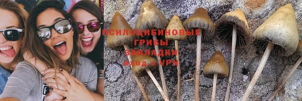прущая мука Бугульма