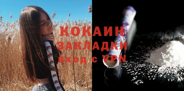 индика Армянск