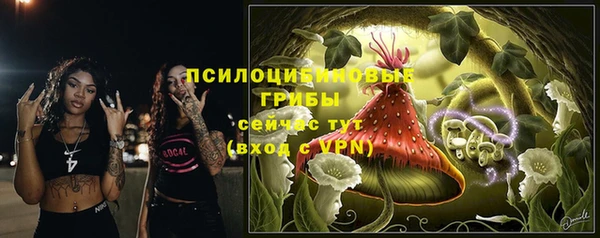 соль курить ск Приозерск