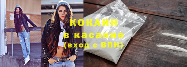 индика Армянск