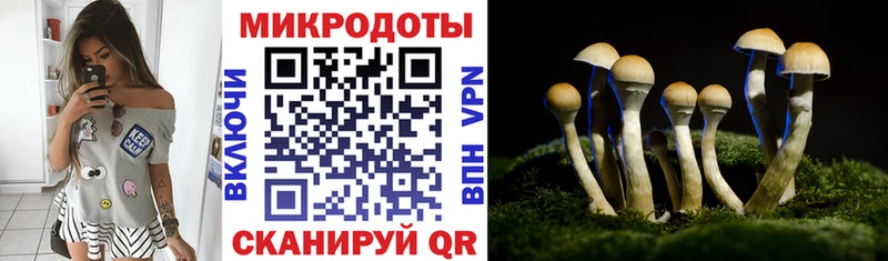 Псилоцибиновые грибы прущие грибы  закладки  Курганинск 